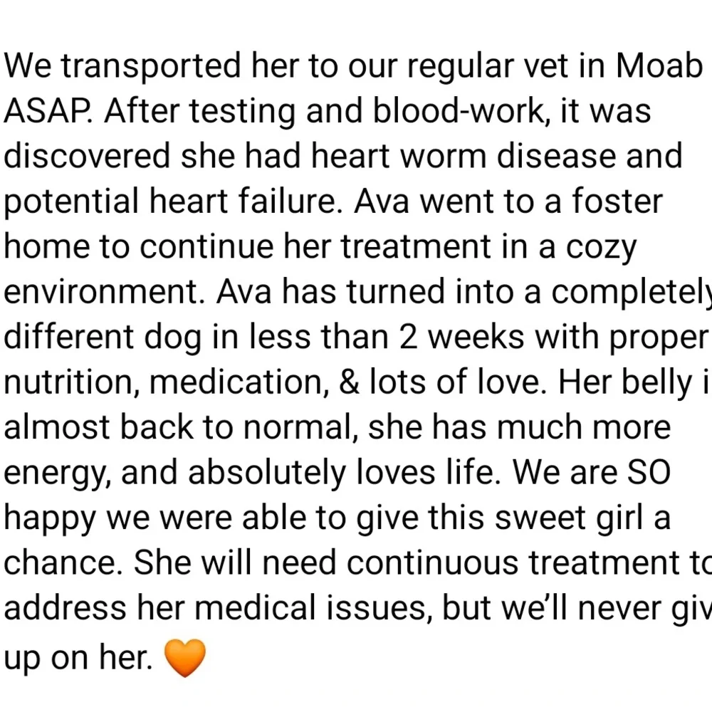 Us🤠🐶🔨 - Picture 10 of 16